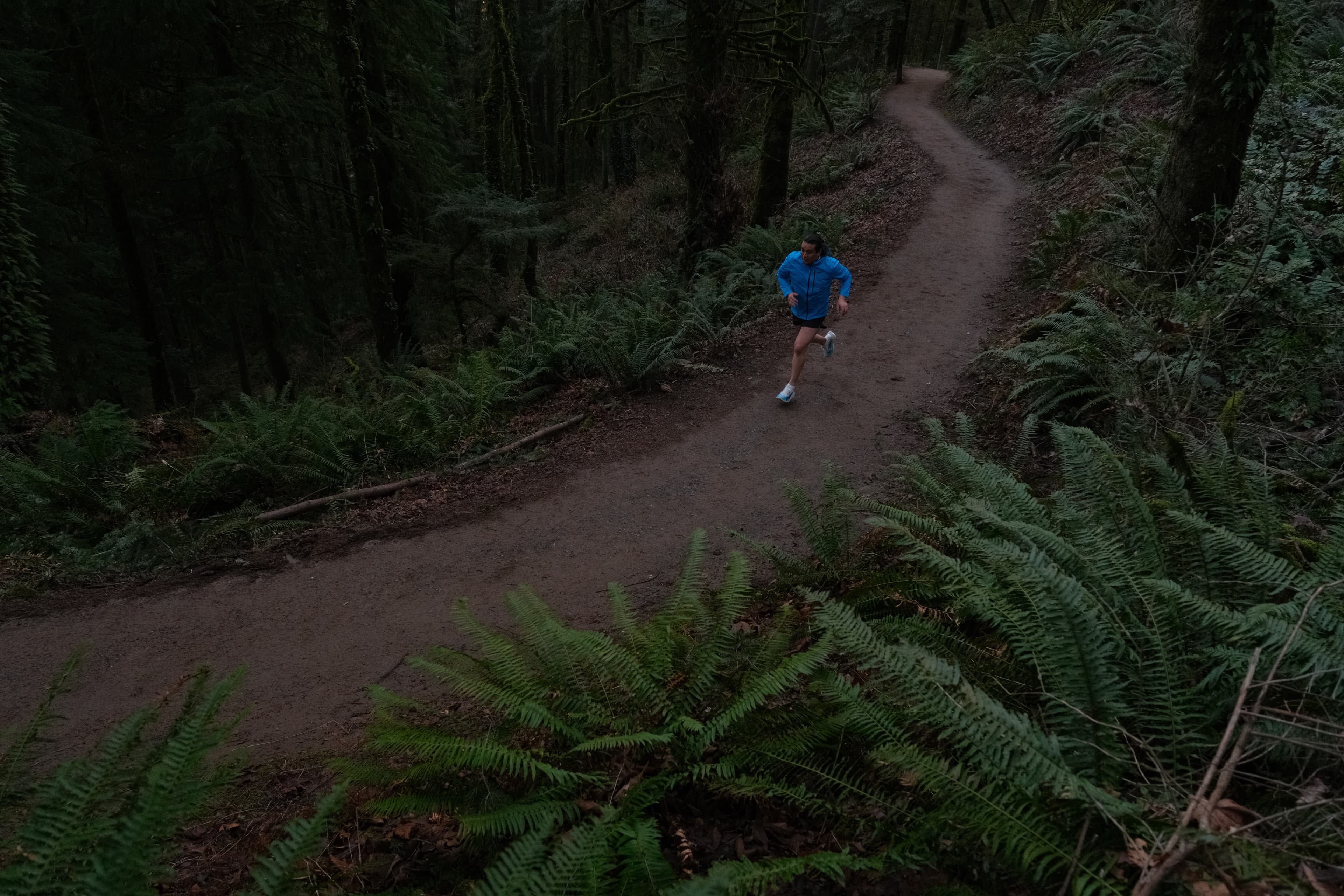 Trail runners in the Pacific Northwest mountains